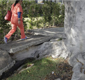 Sherman Oaks Sidewalk Repair