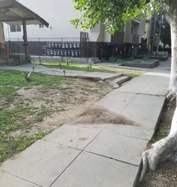 Hollywood curb and gutter new driveway approach sidewalk repair contractor