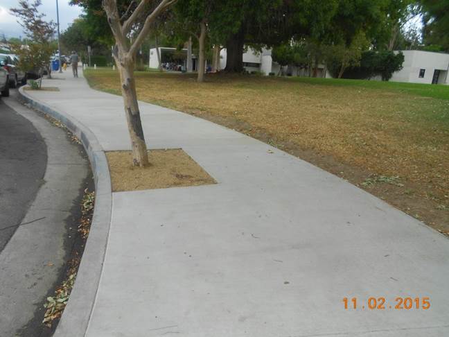 Northridge Sidewalk Repair New Driveway Approach