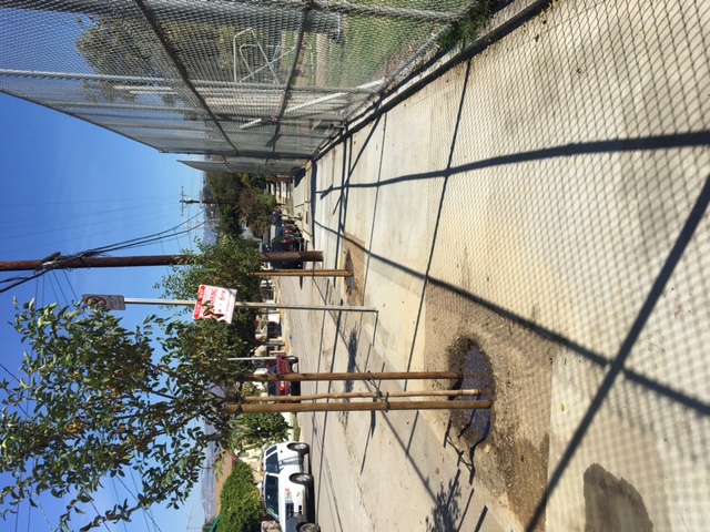 Silver Lake Sidewalk Repair Rebate Program