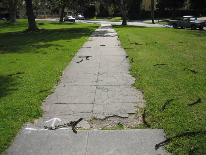 Vermont Square curb ramp apron approach sidewalk repair