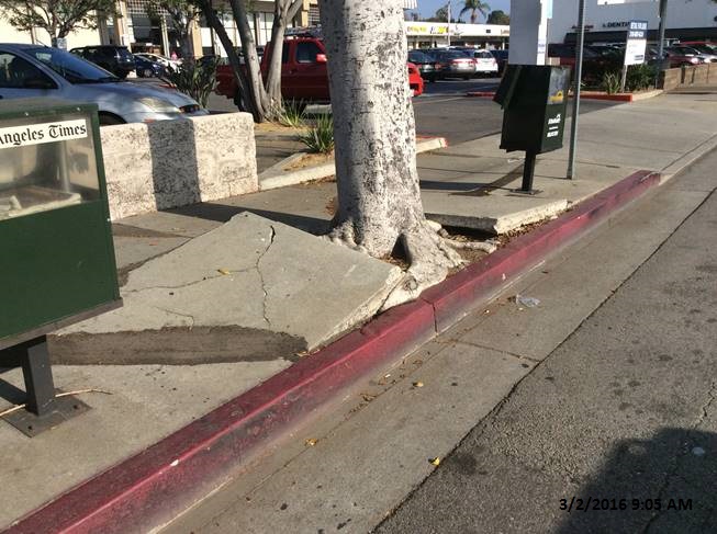 Panorama City Curb Ramp Approach Sidewalk Repair Contractor